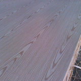 Science and Technology Water Willow