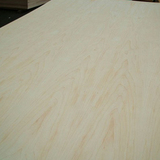 Maple wood